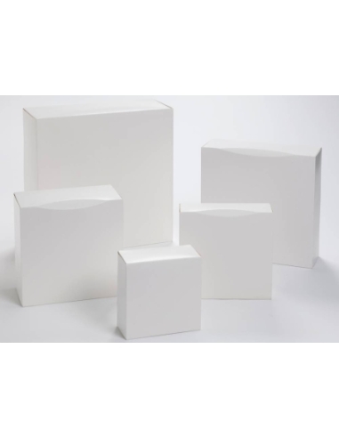 CAJA ORLEANS BLANCA 16X16X10 P/50U